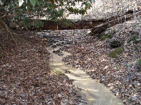 Preconstruction Looking Upstream