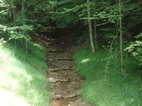 Post Construction Looking Upstream