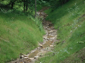 Post Construction Looking Downstream