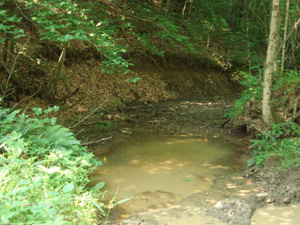 Looking Downstream