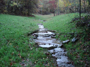 Looking Upstream at a Double Drop step Cross-vane